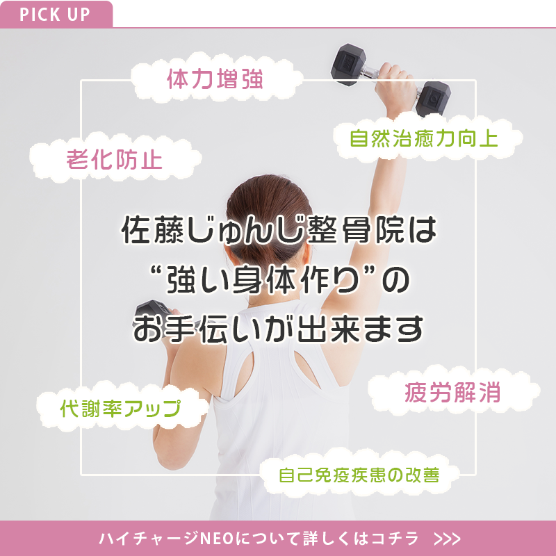 ハイチャージNEO