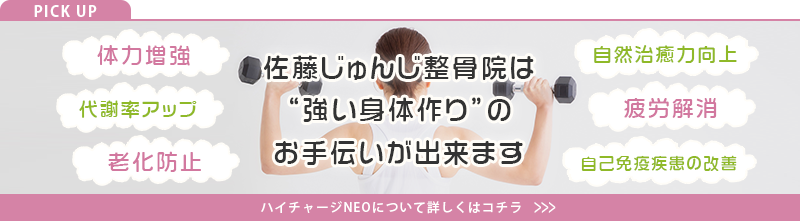 ハイチャージNEO