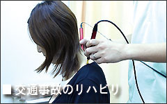 ��ʎ��̂̃��n�r��